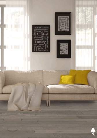 Roomvo | Floor Magic